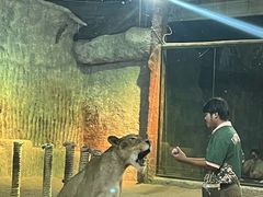 -清迈夜间动物园