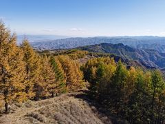 -苏木山森林公园