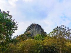 -南宁花花大世界景区