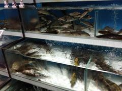 -盒马鲜生(莱蒙都会店)