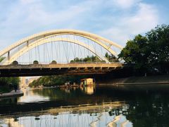 -经络盲人推拿(鼎鑫中心店)