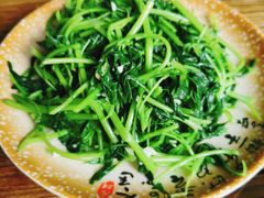 素炒小米菜-朱家小厨(红塔西路店)