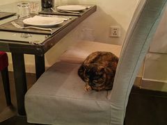 -EATALIA意塔利意式餐厅(鼓楼店)