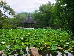 -上海醉白池公园