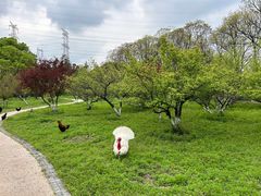 -昆山城市生态森林公园