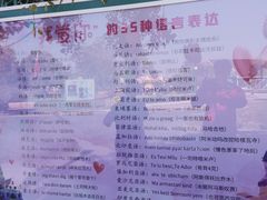 -荷兰花海