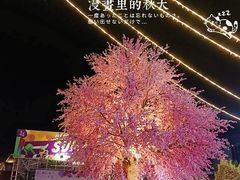 -凤城·食都