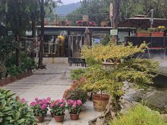 -蘇河湾·新鲁菜·泰山宴(泰山店)