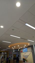 -上海交通大学医学院附属上海儿童医学中心(陆家嘴总院区)