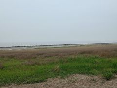 -南汇嘴观海公园