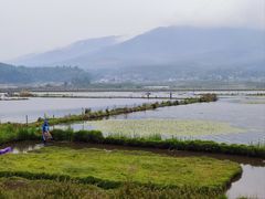 -腾冲北海湿地
