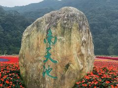 -广州市石门国家森林公园