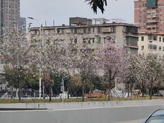 -洲头咀公园