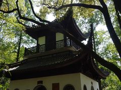 -汇龙潭