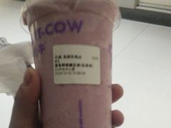 -一只酸奶牛(兰州中心店)