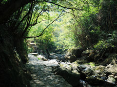 -宁波五龙潭景区