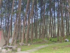 -硗碛藏寨·神木垒景区