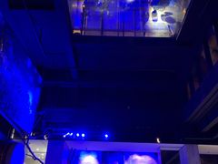 -元生咖啡(陶溪川店)