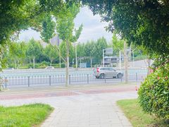 -张之洞与武汉博物馆
