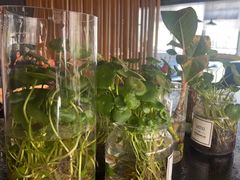 -懒人盐府人家(航天桥店)