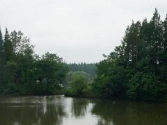 -东平国家森林公园