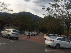 -呀诺达热带雨林