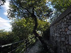 -香山公园