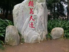 -武汉大学-樱园