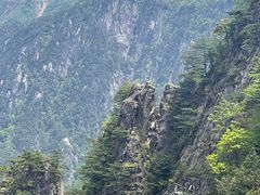 -大明山自然探索公园