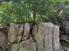 -大岭沟猕猴桃谷风景区
