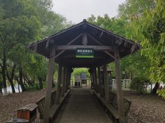 -长兴太湖图影湿地文化园