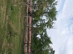 -南湖湿地公园