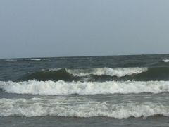 -海之味海鲜大咖·家常菜