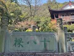 -十八棵（老龙井）御茶园(老龙井店)
