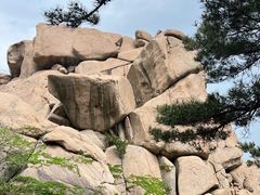 -崂山仰口游览区