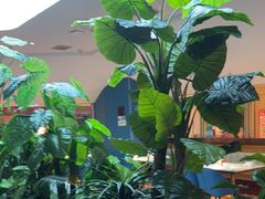 -悦海·家宴·冰花皮皮虾大锅贴(宝龙店)