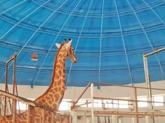 -哈尔滨北方森林动物园