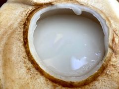 -墨脱石锅椰子鸡•香草鸭•东山羊(大东海店)