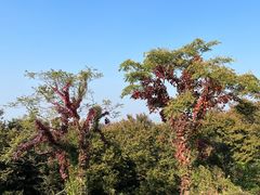 -南京市江宁方山