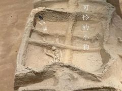 -洛阳周王城天子驾六博物馆