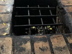 -纪念孙中山市政公园