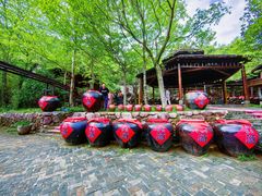 -姑婆山旅游区