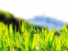 -望海·帆船主题咖啡厅•品茗下午茶(石湖景区店)