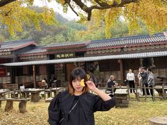 -千年银杏谷文化旅游区