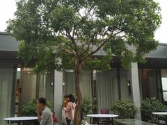 -拾贰季喜宴(百利达广场店)