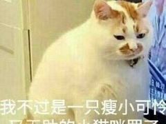 -常州奔牛国际机场