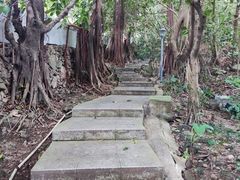 -小南山公园
