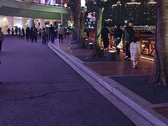 -海心沙亚运公园