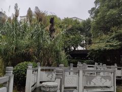 -绳金塔