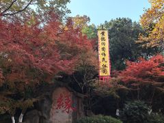 -杭州黄龙洞